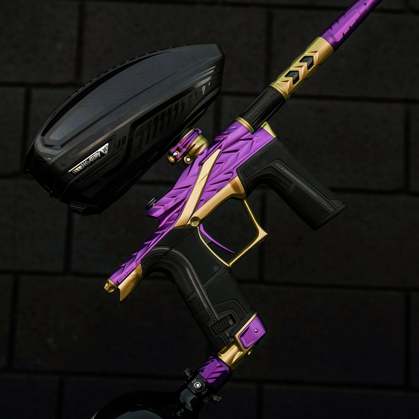 HK Fossil - Eclipse LV2 - Royalty