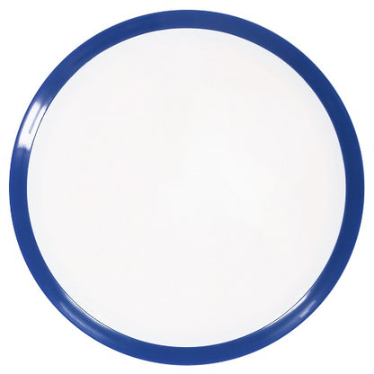 Axiom Neutron Vanish Disc - White Blank