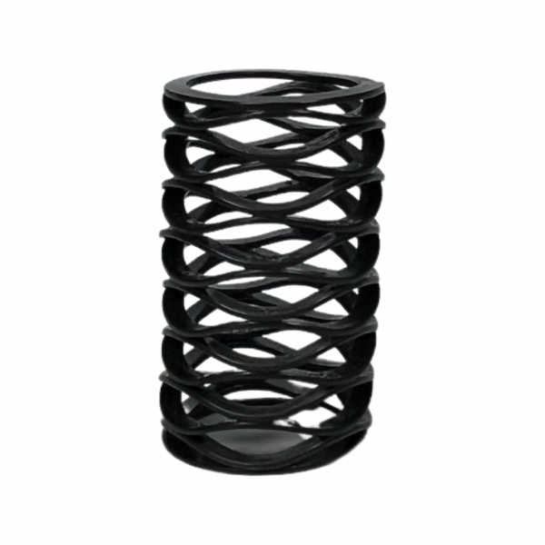 Infamous Skeleton Air Regulator Wave Spring