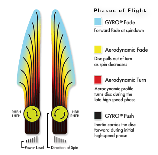 MVP Electron Ion Disc