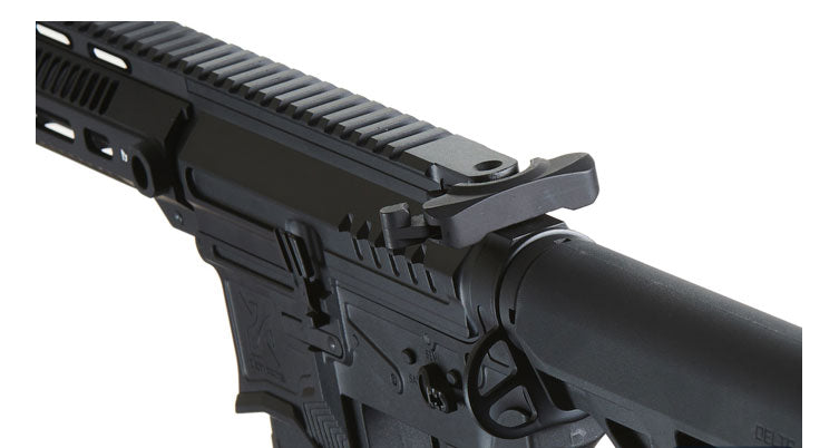 Zion Arms R15 Mod 0 Long Rail Airsoft Rifle with Delta Stock - Black