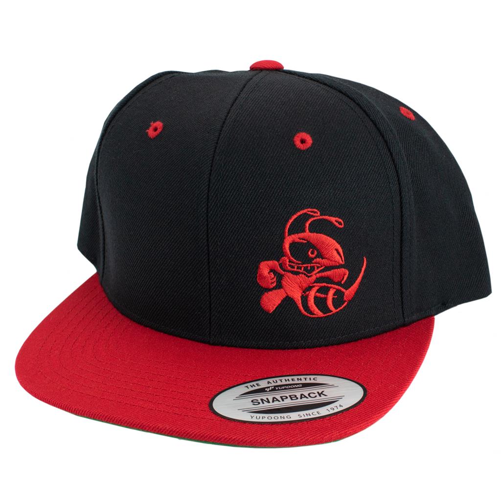 Discraft Two Tone Snapback Hat - Buzzz Design