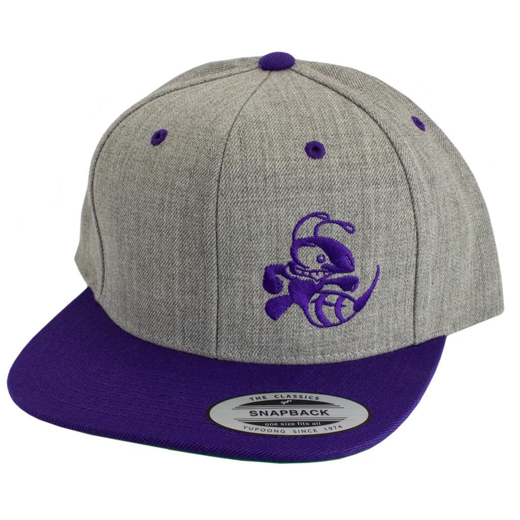 Discraft Two Tone Snapback Hat - Buzzz Design