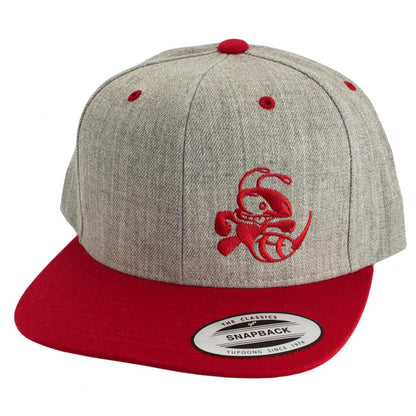 Discraft Two Tone Snapback Hat - Buzzz Design